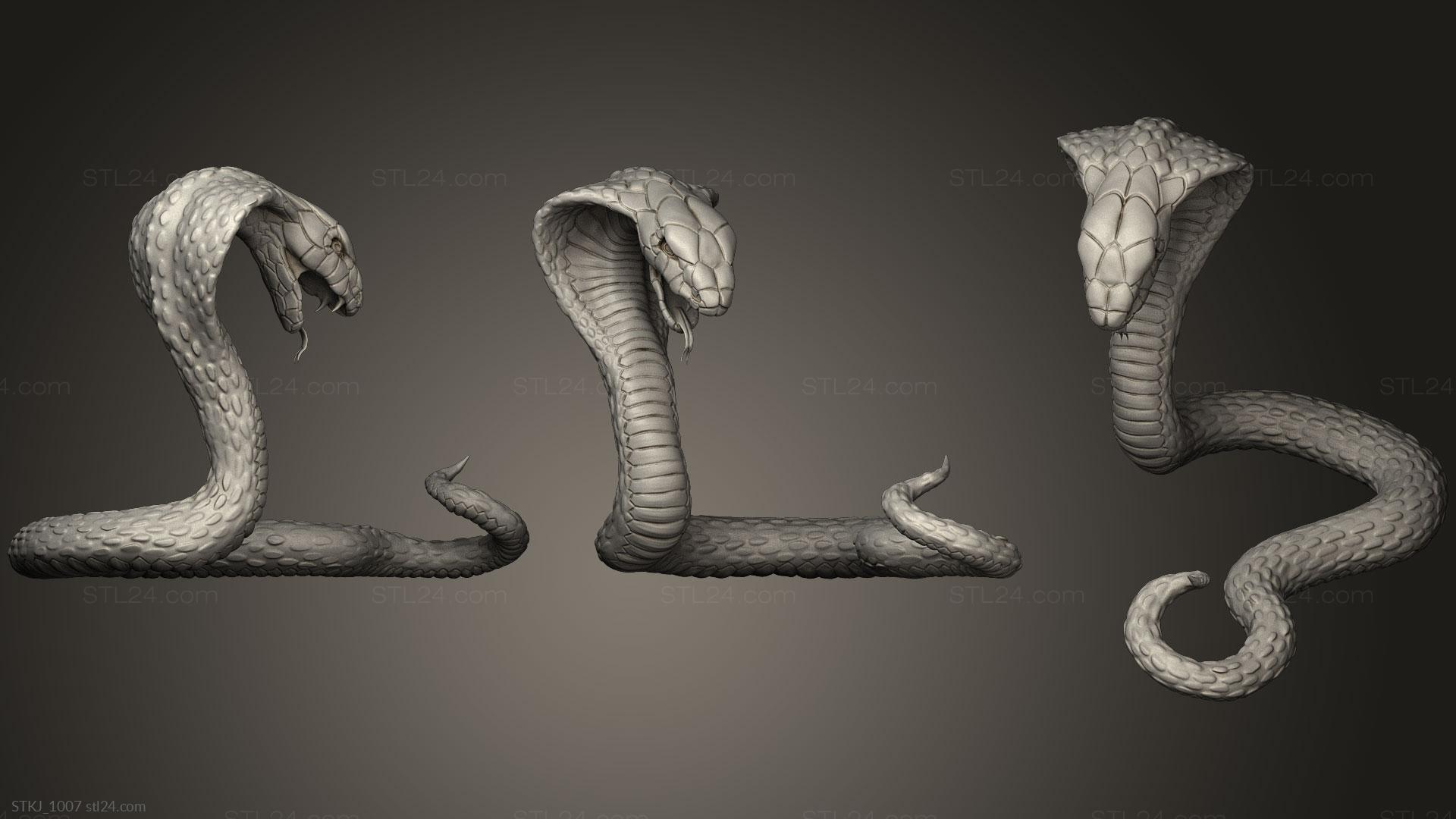 Snake - Free 3D models